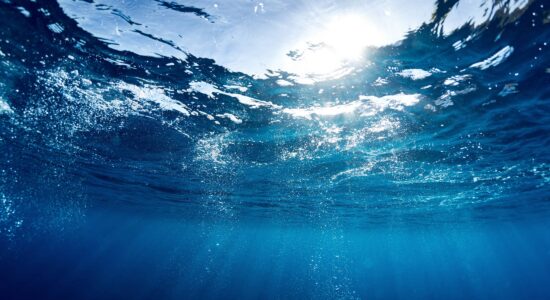 Sauberes Wasser - Unterwasseransicht man selbst blickt durch die Wasseroberfläche in den Himmel